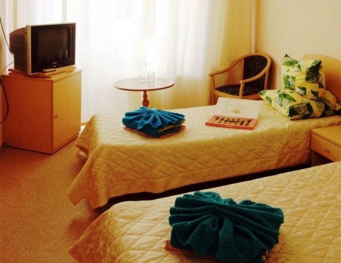 Стандарт 2-местный 1 категории - Санаторий «Борисовский» Борисово