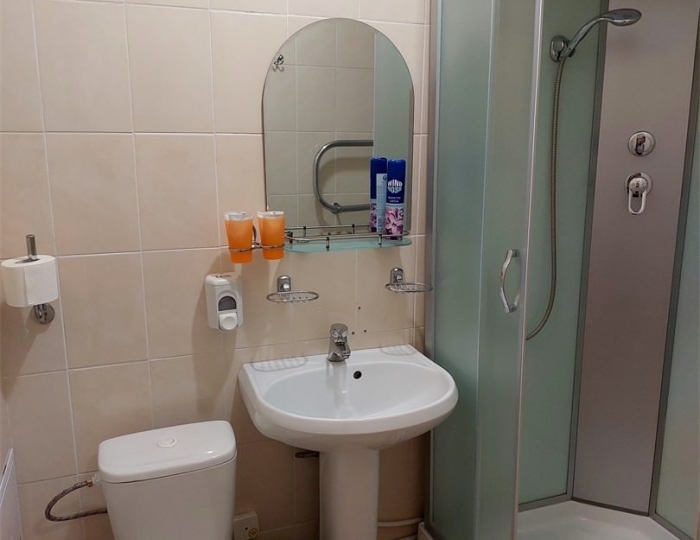 Стандарт 2-местный 1 категории - Санаторий «Борисовский» Борисово